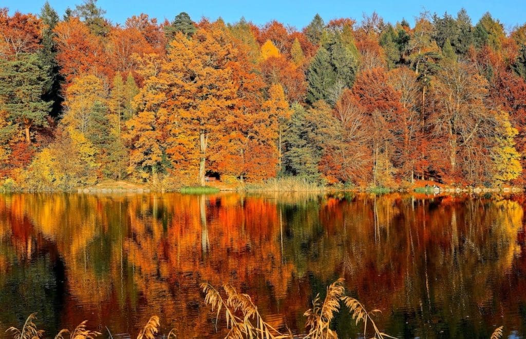 fall decor