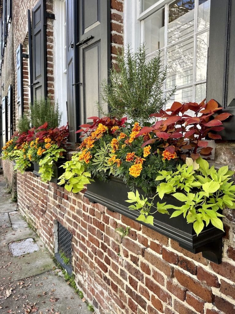 Creative Fall & Winter Window Box Ideas | GDC Furniture