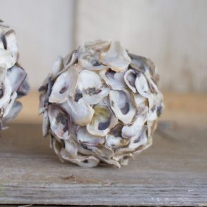oyster shell sphere