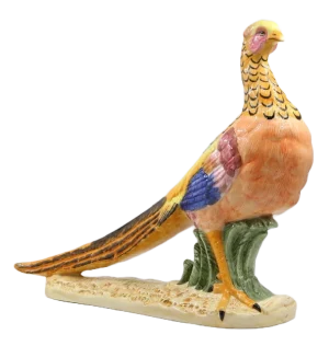 Painted Pheasant