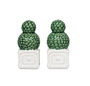 Plant salt and pepper shakers