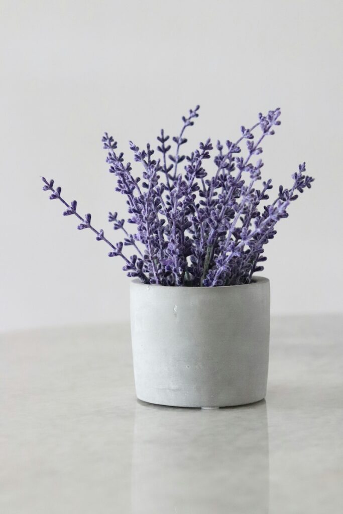 Lavender bunch
