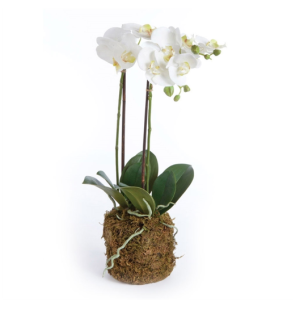orchid tabletop piece
