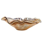 Tortoiseshell