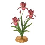 Pink Iris