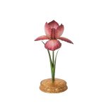 Pink Iris