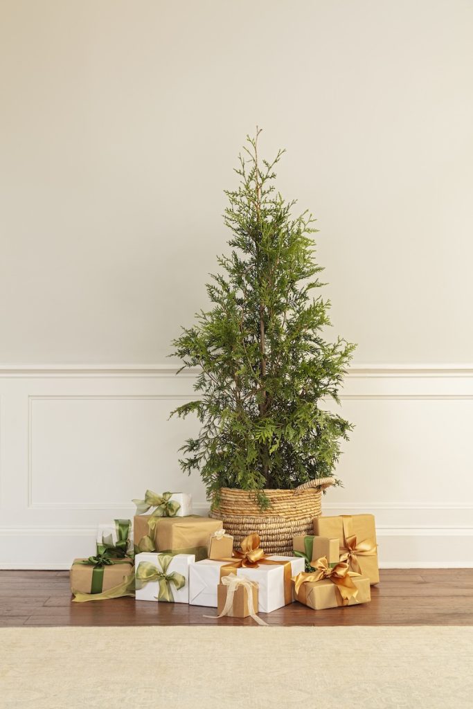Hosting gifts that are perfect for holiday gatherings and say thank you. 