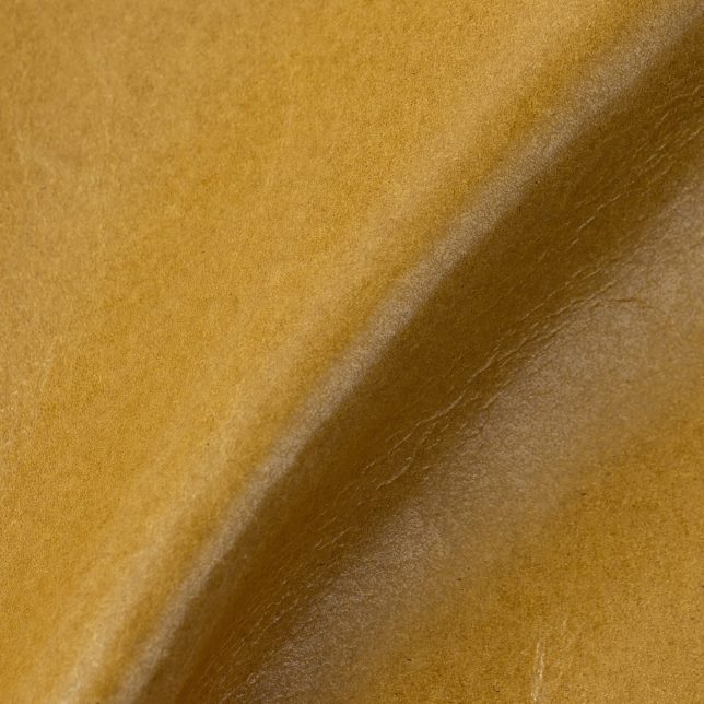 Mont Blanc Golden Hour