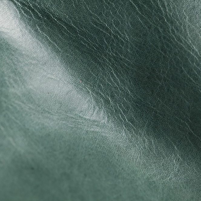 Mont Blanc Rainforest