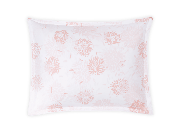 Chrysanthemum Sham - Image 4