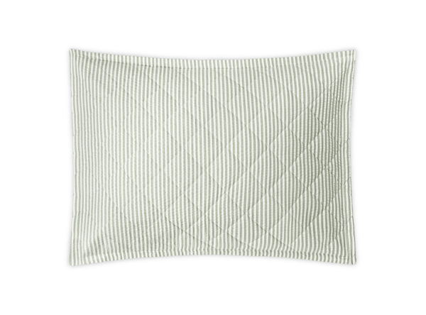 Palm