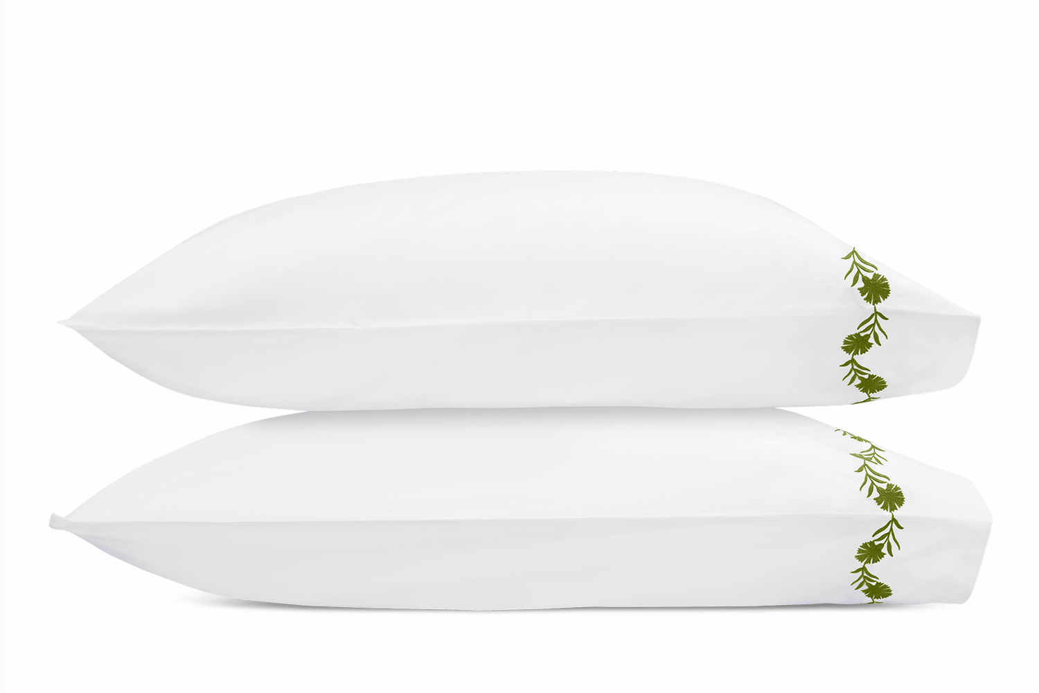 Grass