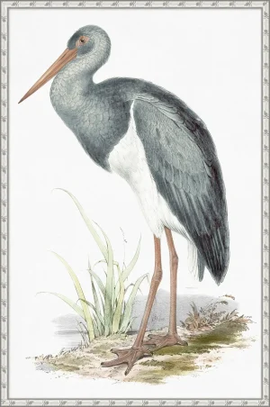 shore bird picture in silver bamboo frame