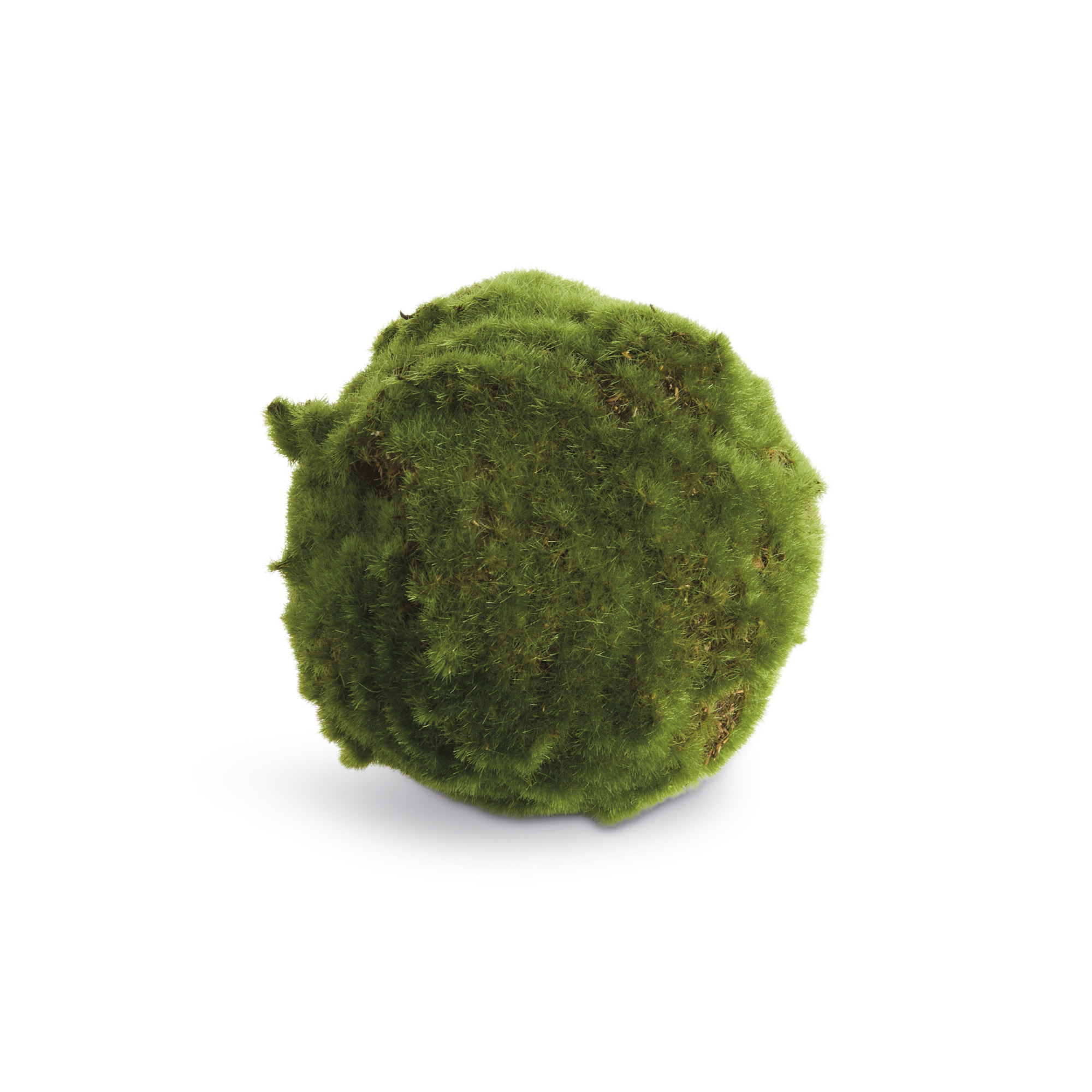 Moss Orbs, Set of 3