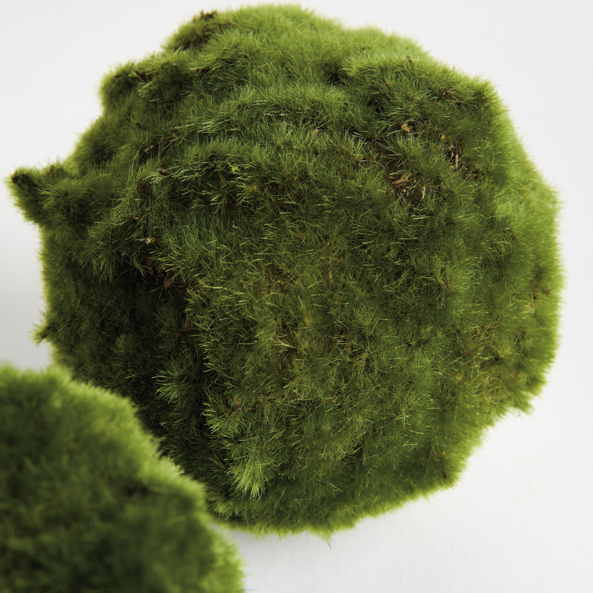 Moss Orbs, Set of 3